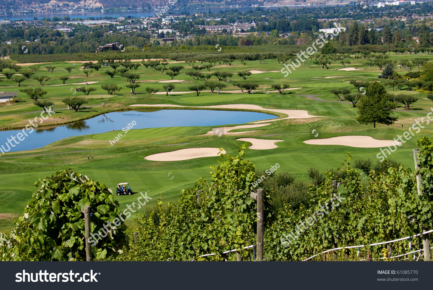 Golf Course In The Okanagan Valley Set Among Vineyards And Apple