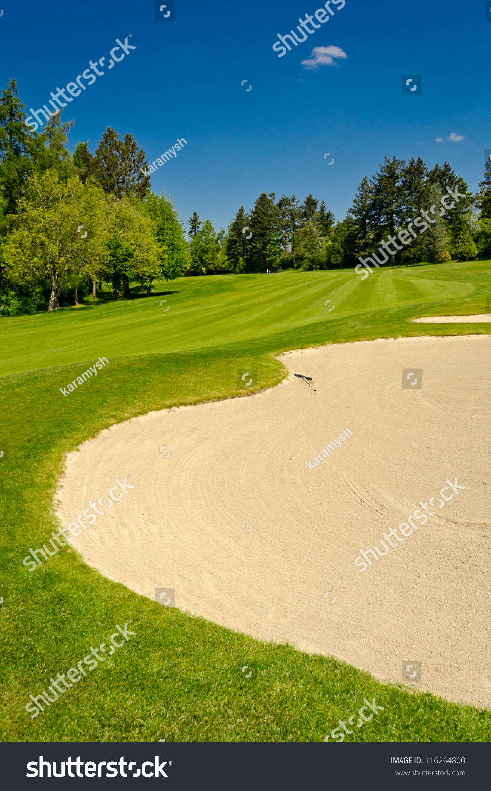 Golf Course Green Sand Bunker Stock Photo 116264800 Shutterstock