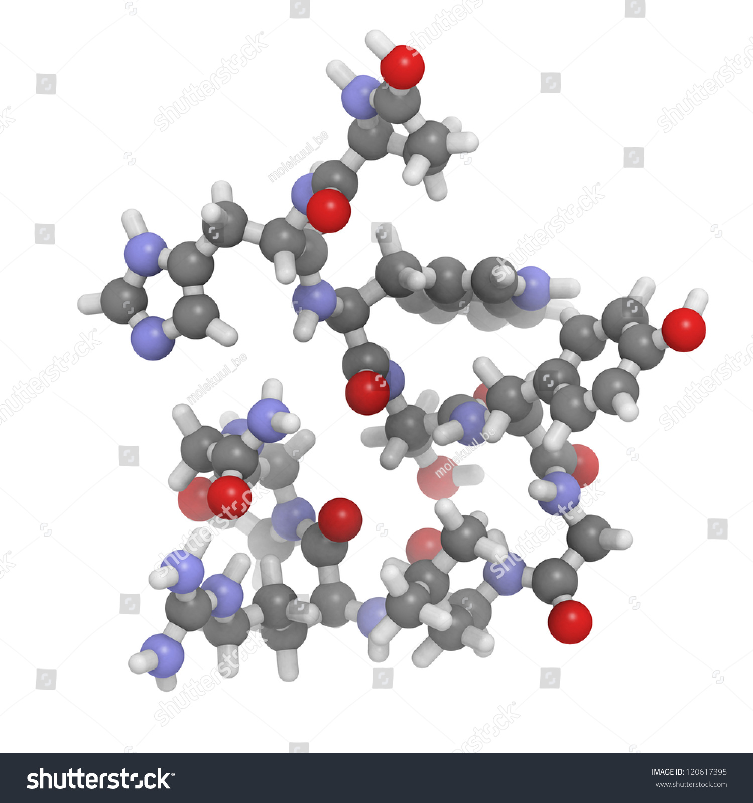 Gonadotropinreleasing Hormone Gnrh Luteinizinghormonereleasing Hormone ...