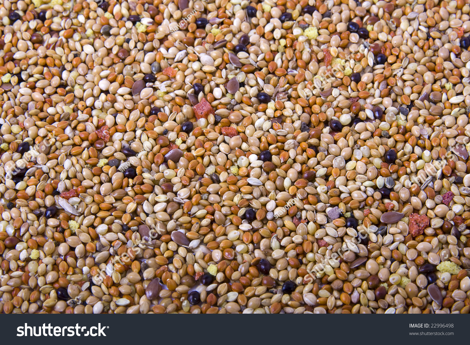 Grains Texture Stock Photo 22996498 : Shutterstock