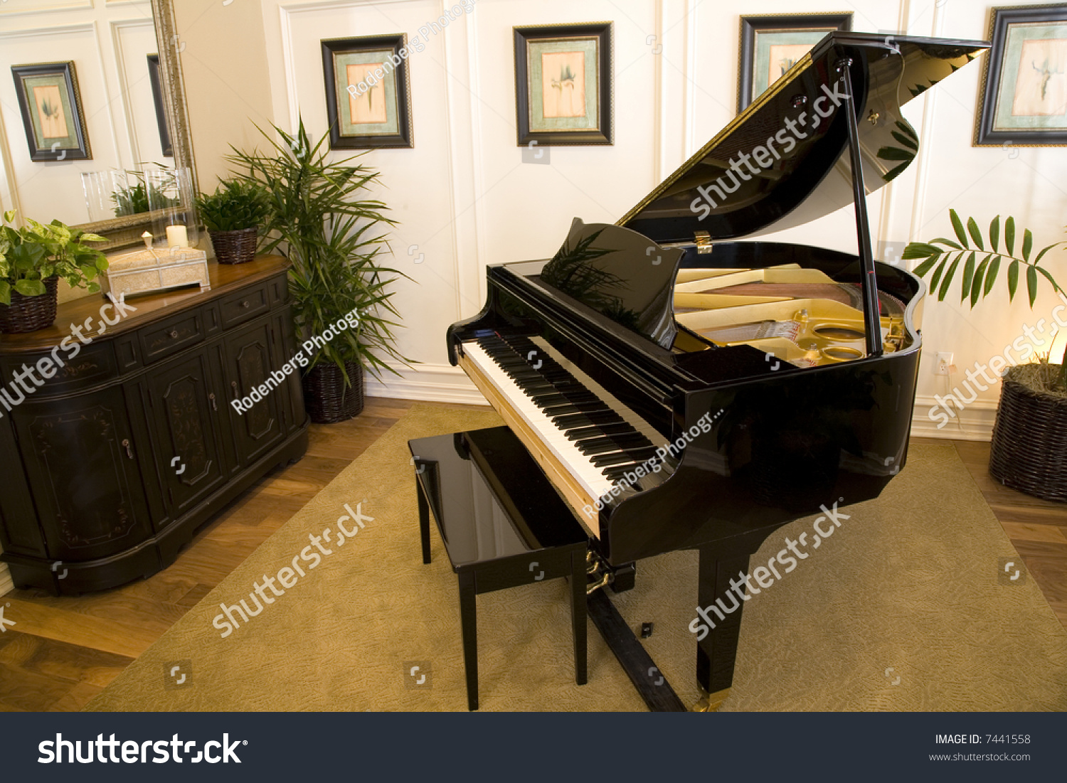 Grand Piano In A Luxury Home. Stock Photo 7441558 : Shutterstock