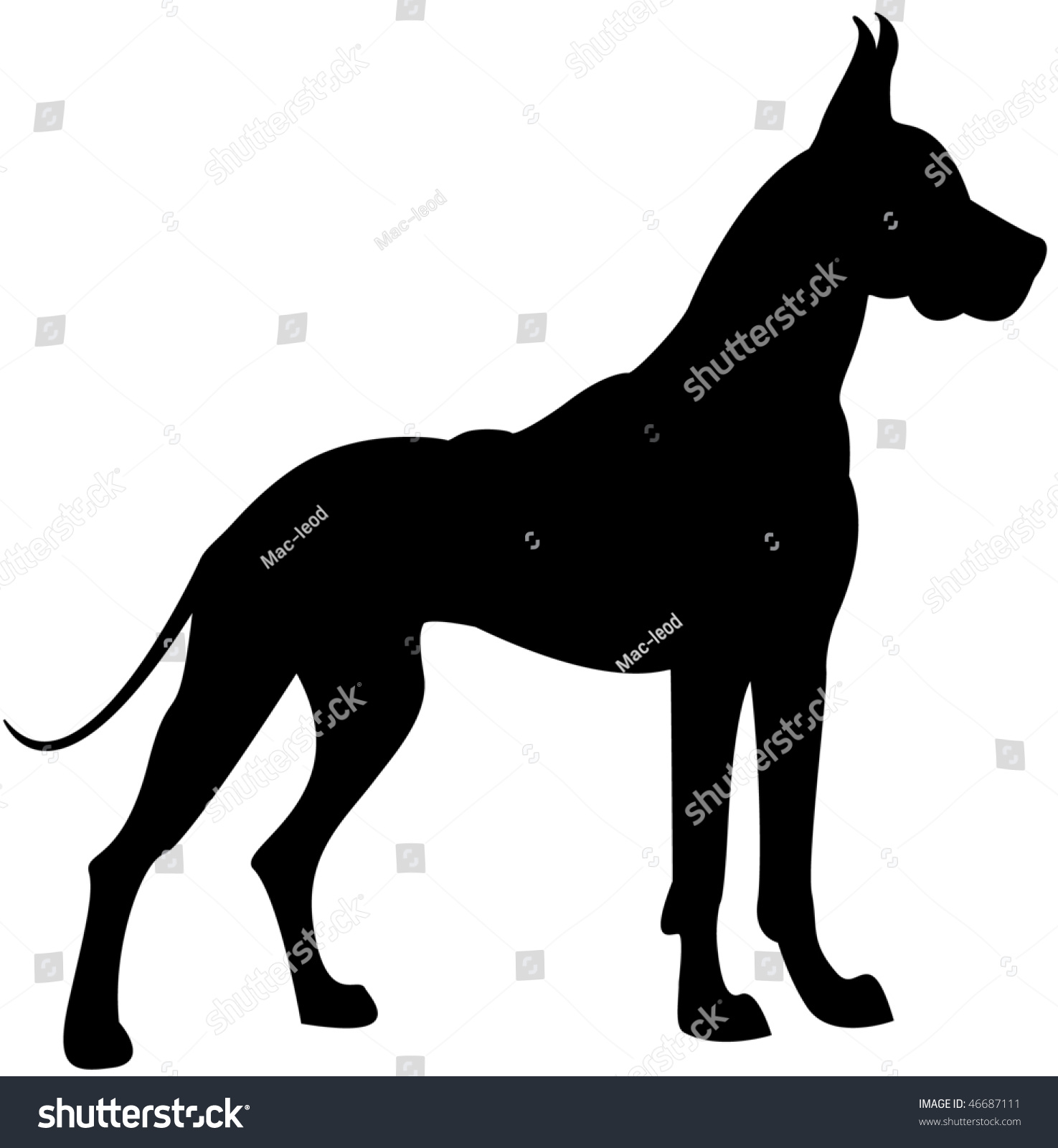 Great Dane Silhouette Stock Illustration 46687111 Shutterstock