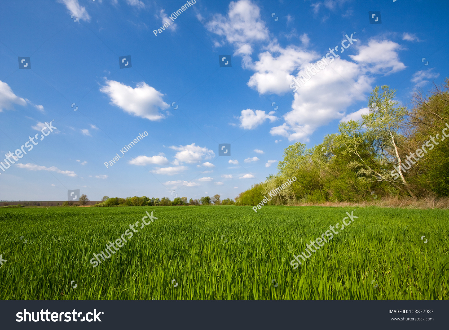 Green Field Under Nice Sky With Clouds Stock Photo Green Field Under Nice Sky With Clouds Stock Photo