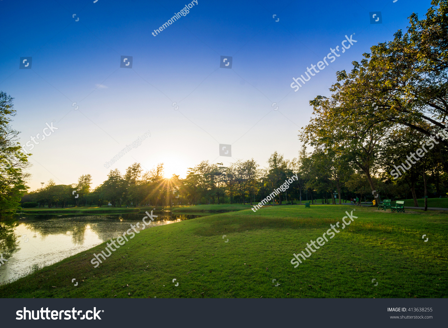 Green trees in beautiful park over blue sky in evening Green garden Green trees in beautiful park over blue sky in evening Green garden