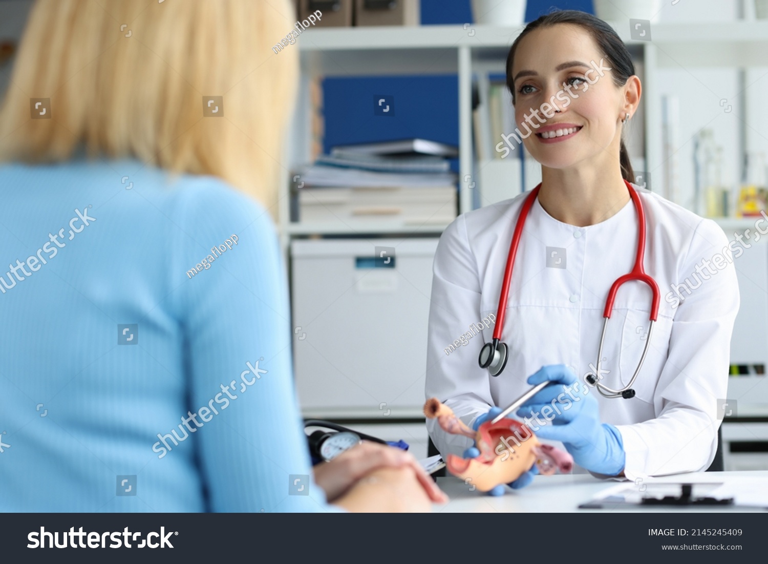 Gynecologist Holds Model Female Reproductive System Stock Photo