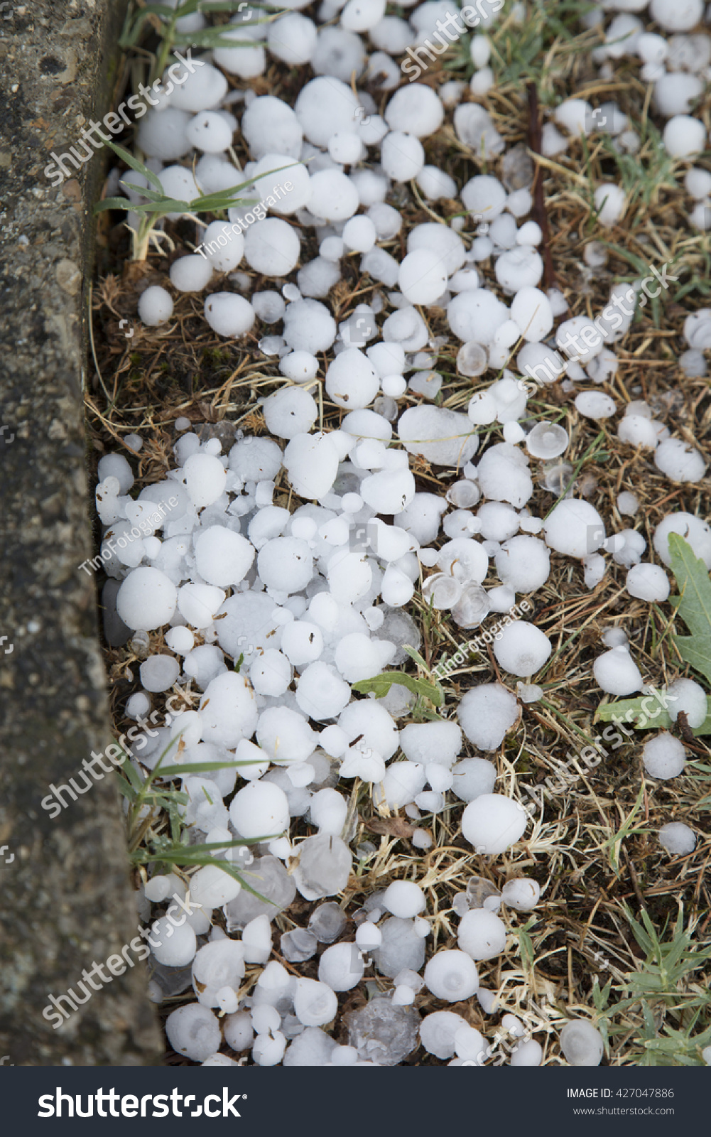 Hail Storm From Sky In Italy Stock Photo 427047886 Shutterstock