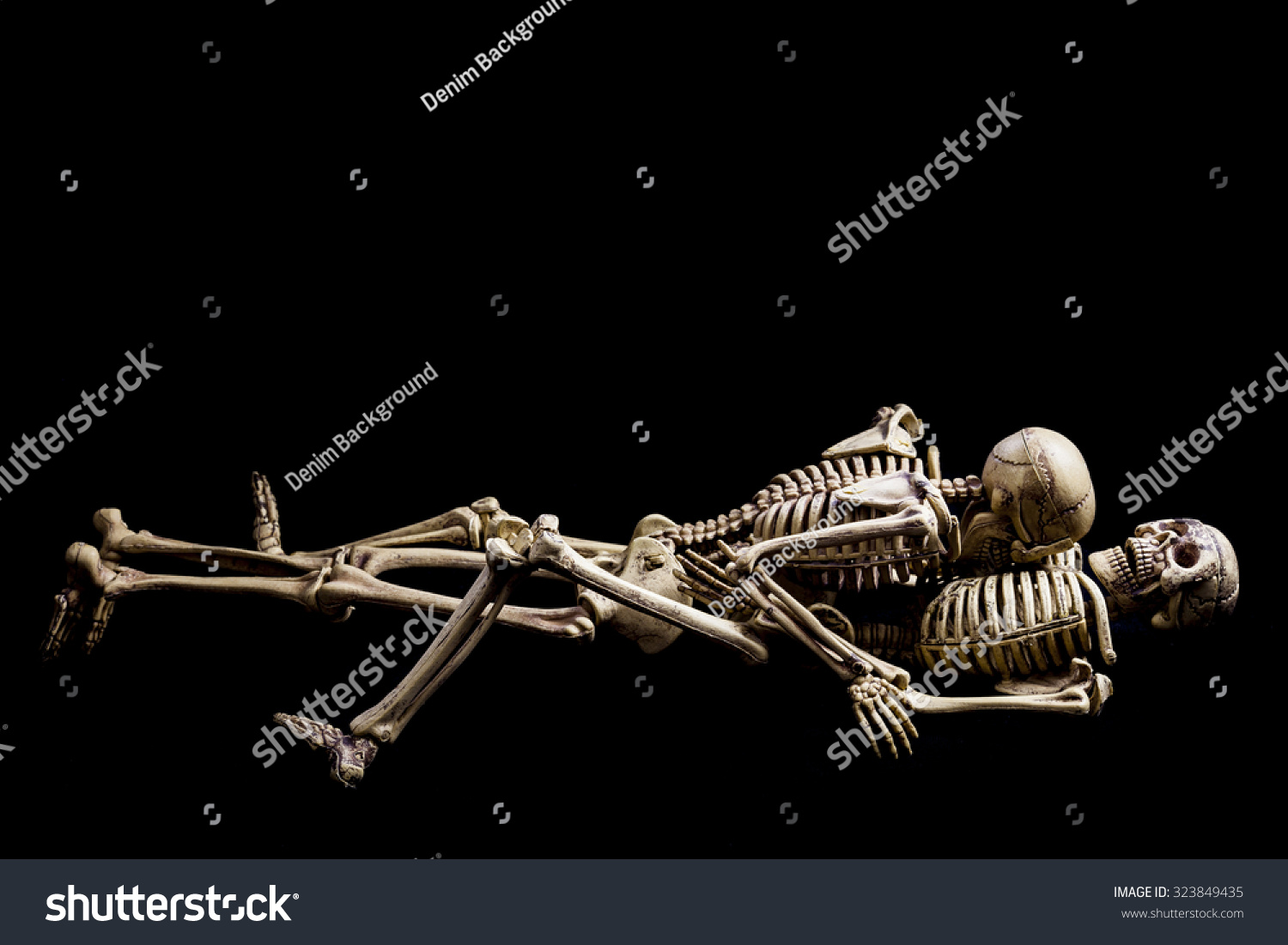 Halloween Sexskeletons Having Sex On Black Stock Photo Edit Now 323849435