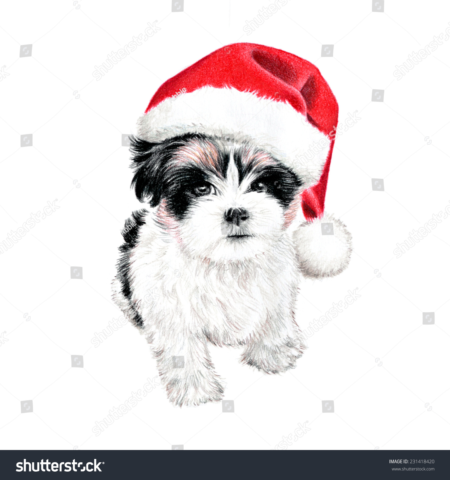 christmas dogs clipart - photo #40