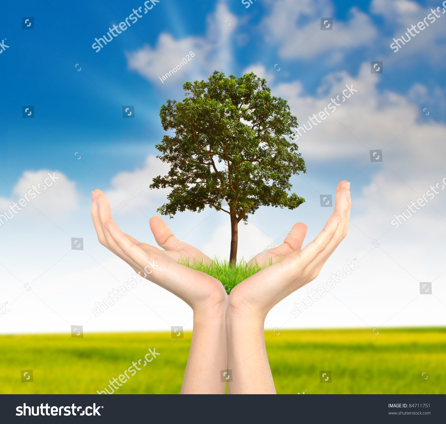 Hand Holding A Tree Stock Photo 84711751 : Shutterstock