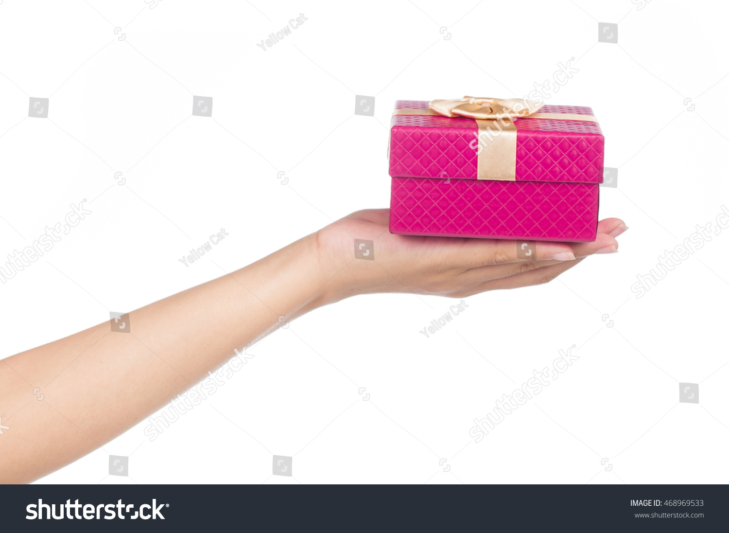 Hand Holding Pink Gift Box Isolated Stock Photo Shutterstock