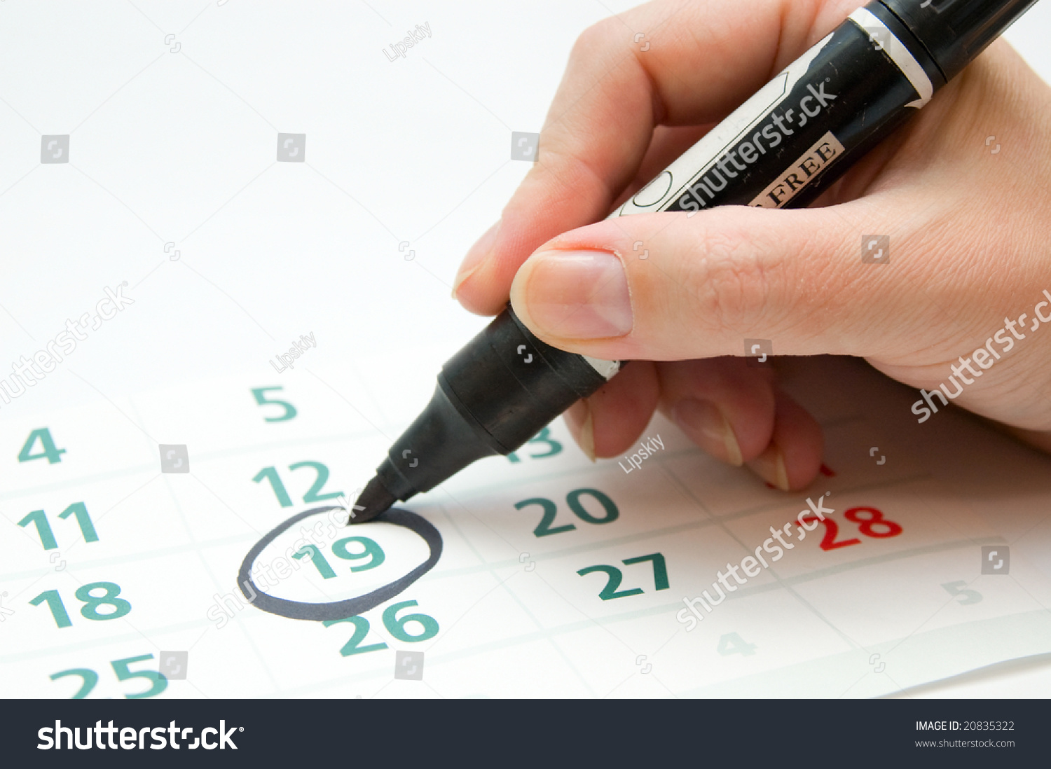 essay on importance of dates in history essay on importance of dates in history