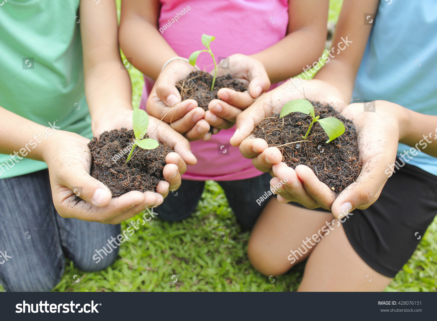 Hands Holding Sapling Soil Surface Stock Photo Edit Now