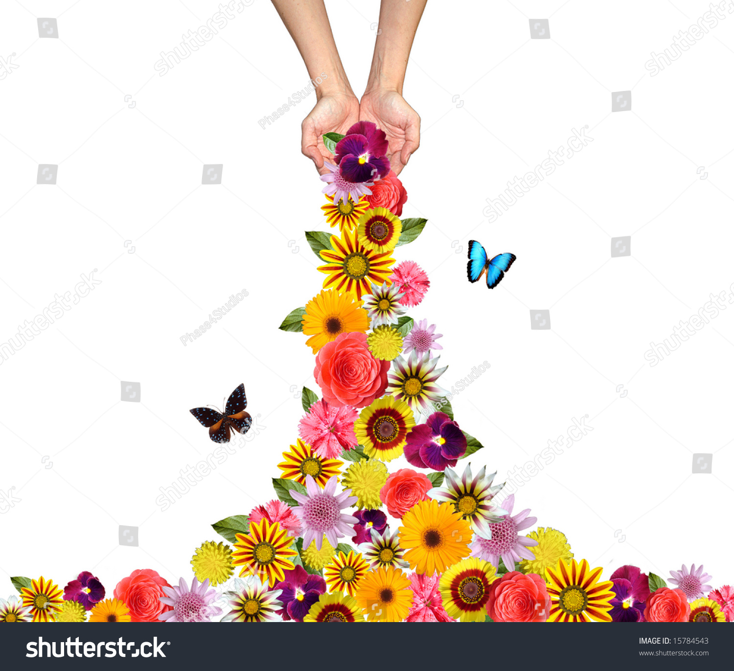 Hands Sprinkling Flowers Everywhere Stock Photo 15784543 : Shutterstock