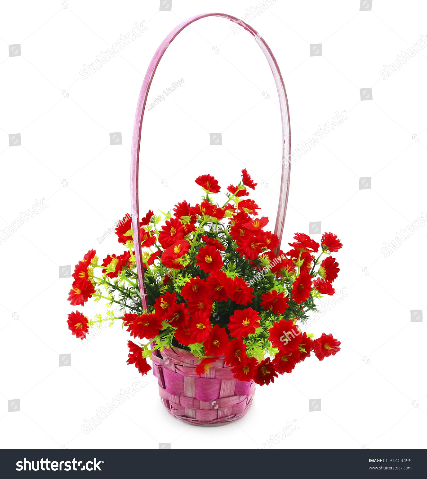 Hanging Basket With Flowers Isolated On White Background Stock Photo