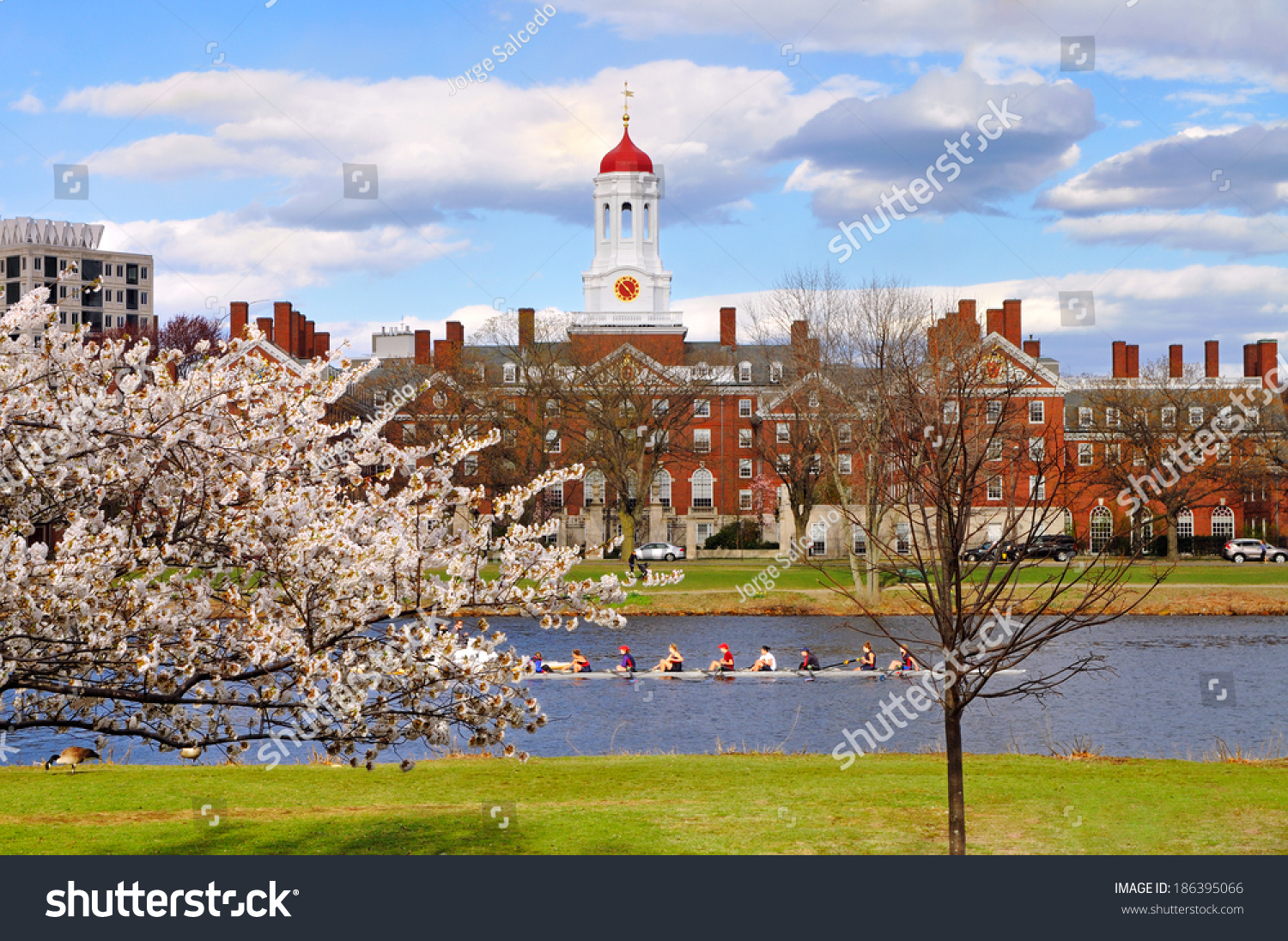 Harvard In The Spring Stock Photo 186395066 Shutterstock