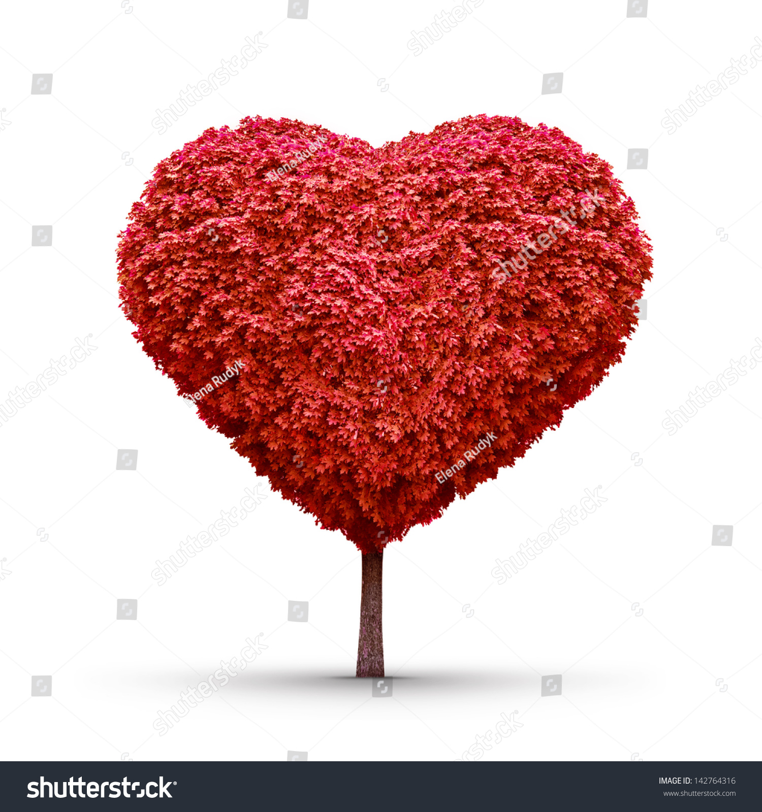 Heart Shaped Red Tree Isolated Stock Photo Shutterstock