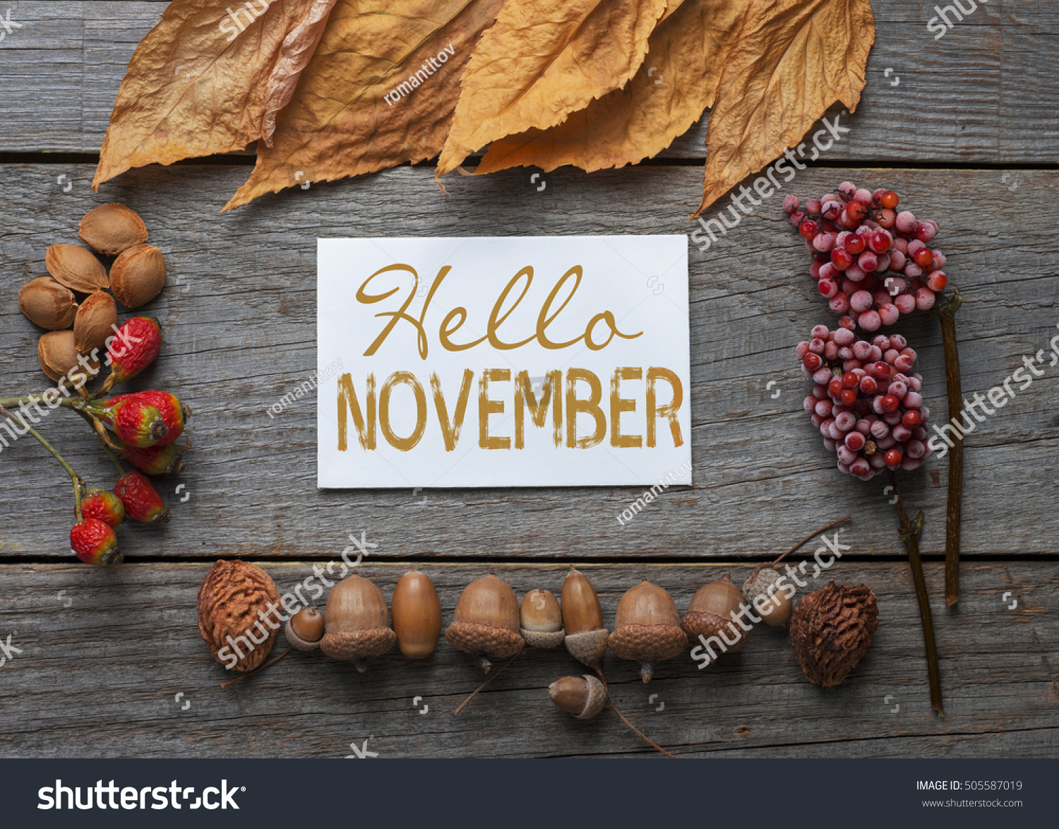 Hello November Frame Of Autumn Decor Poster Card With Sunlight Filter