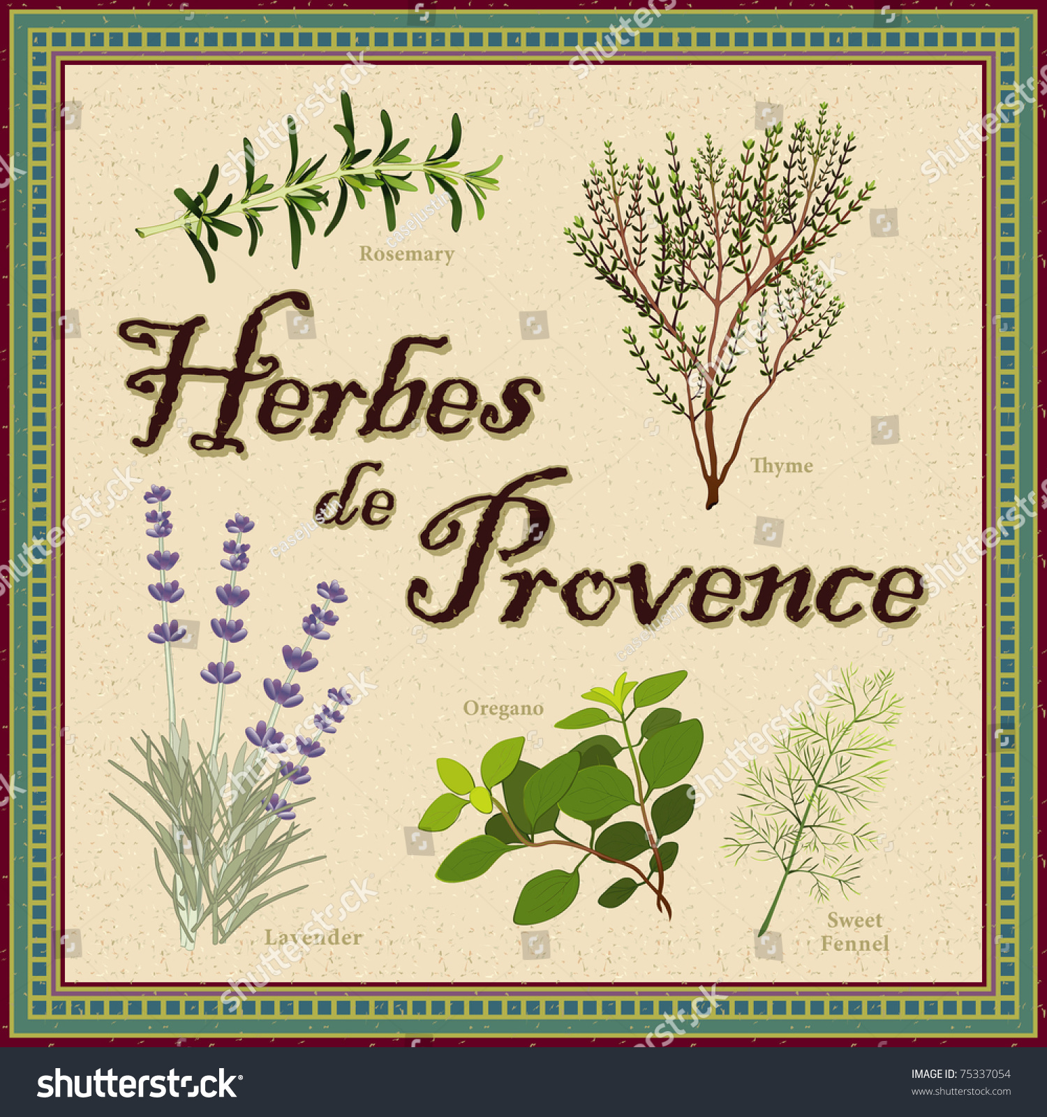 Herbes De Provence. Classic Blend Of Aromatic Cooking Herbs From 