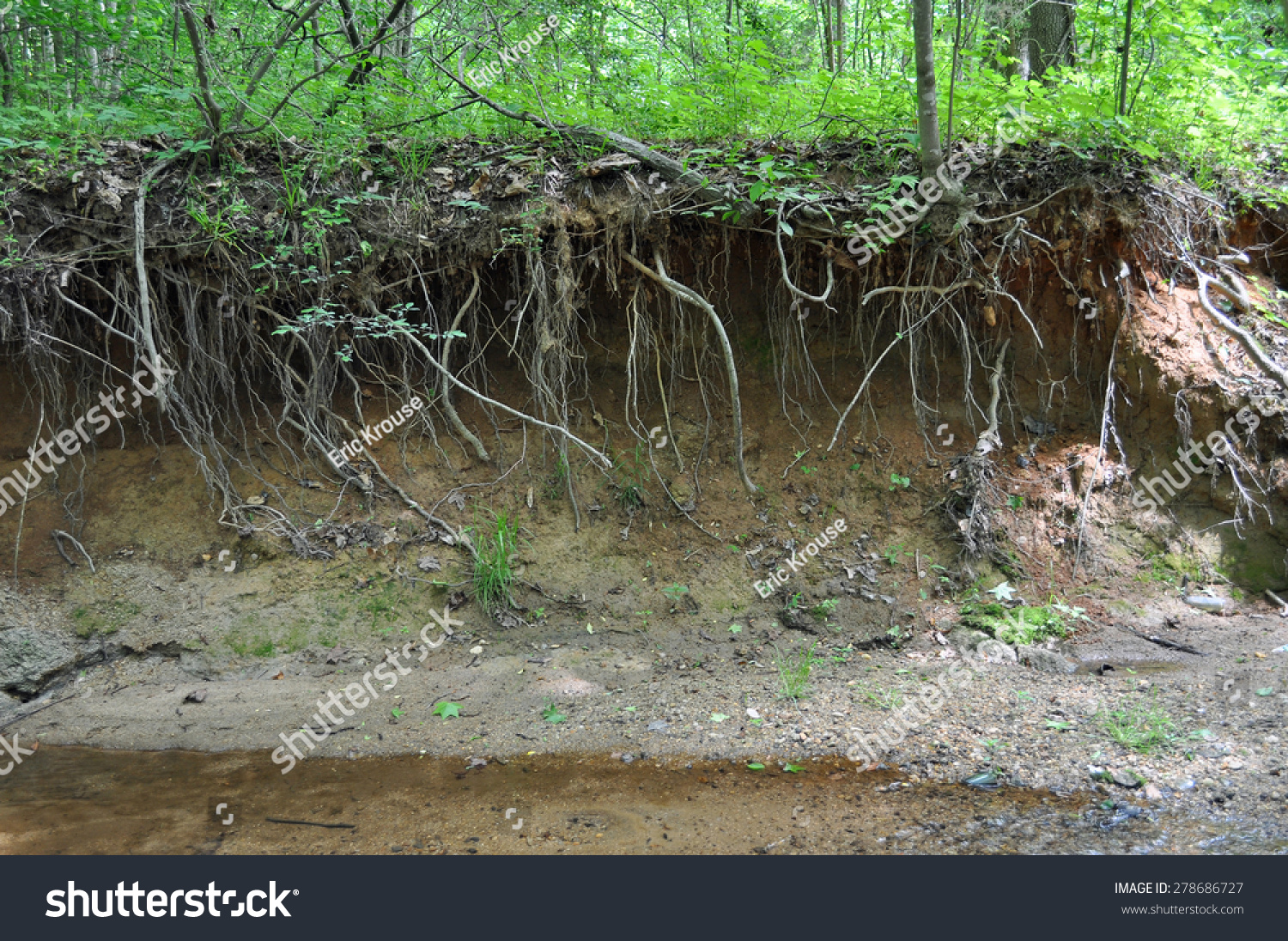 Stream Bank Erosion Bilder Stockfotos Und Vektorgrafiken Shutterstock