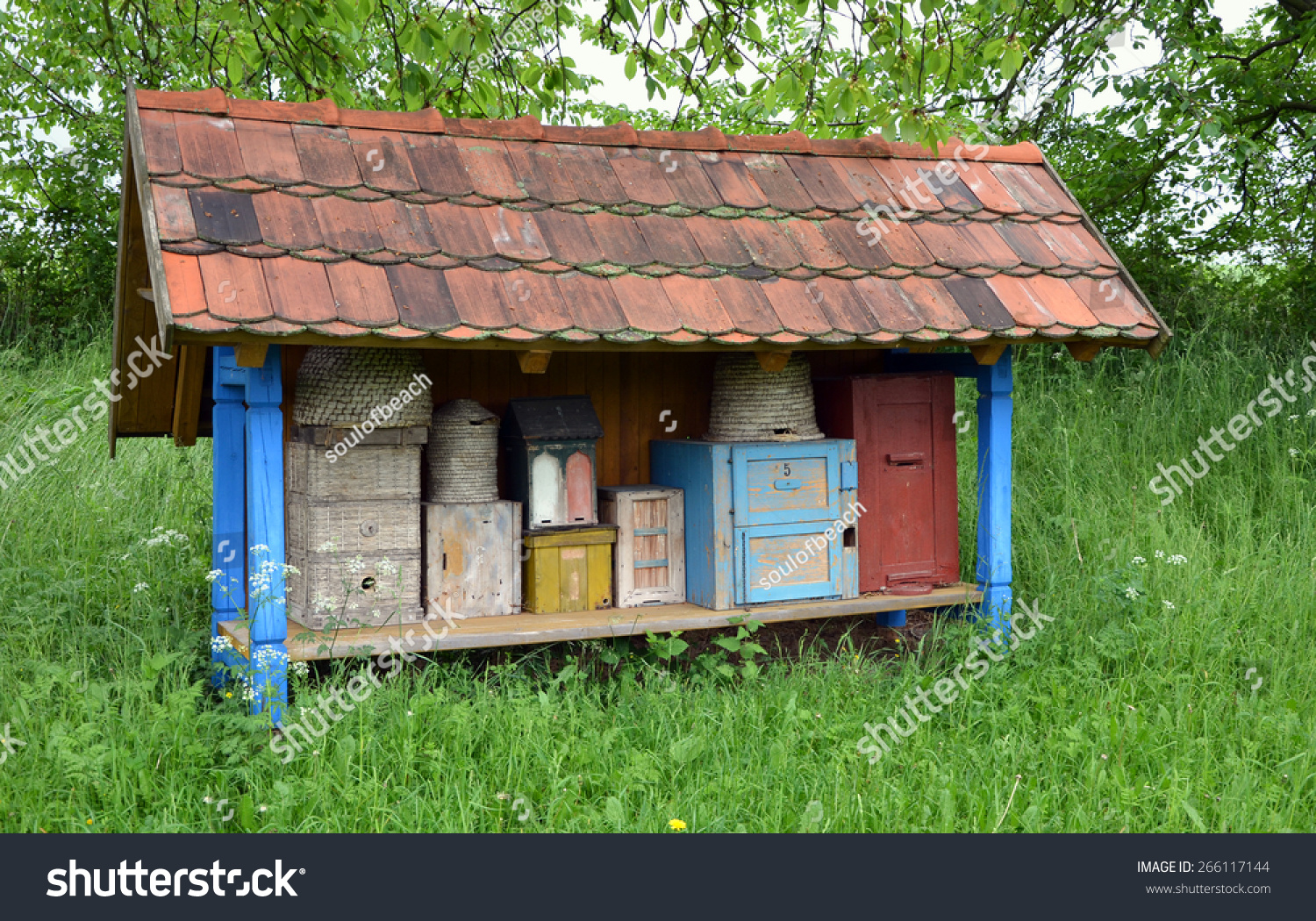 Stock options czech republic