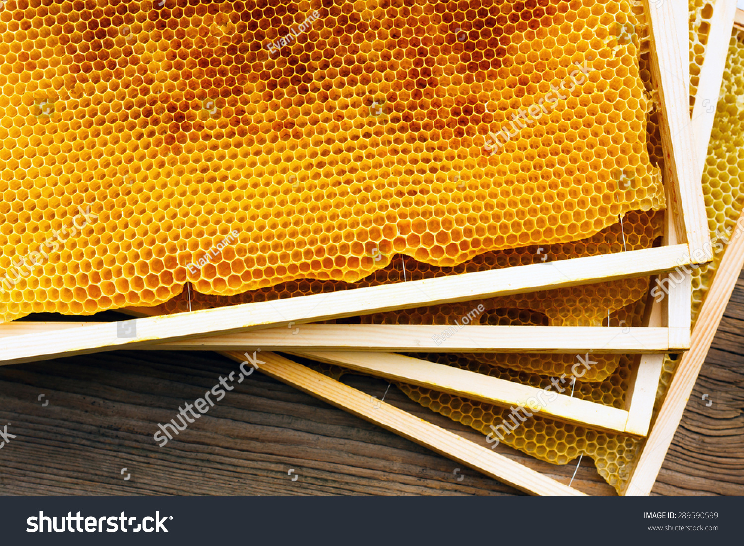 Honeycomb Beehive Closeup Stock Photo 289590599 Shutterstock