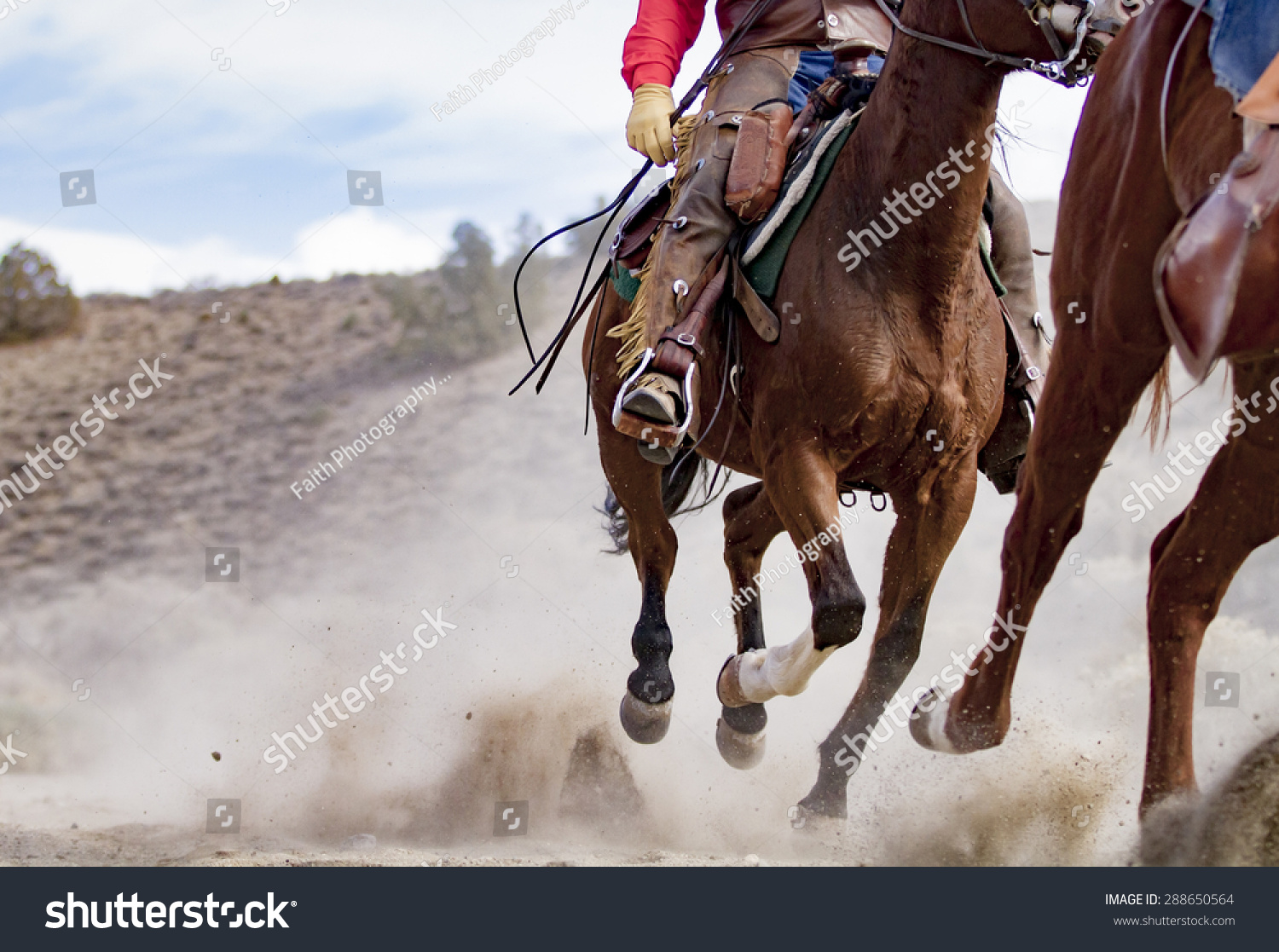 Horses Cowboy Riding Hard Close Viewpoint Stock Photo 28