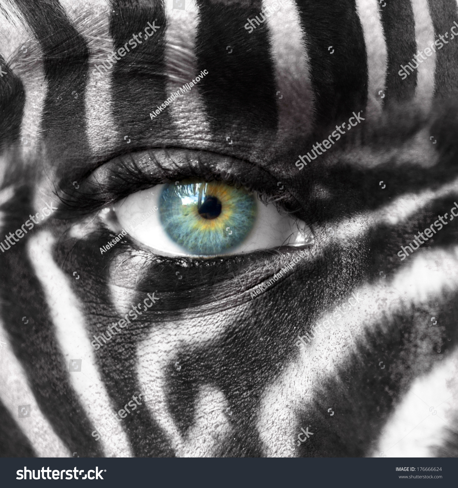 Human Face With Zebra Pattern Save Endangered Species Concept Stock