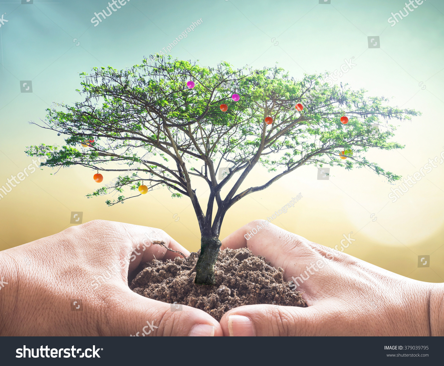 Human Hands Holding Big Tree On Blurred Nature Background. World ...