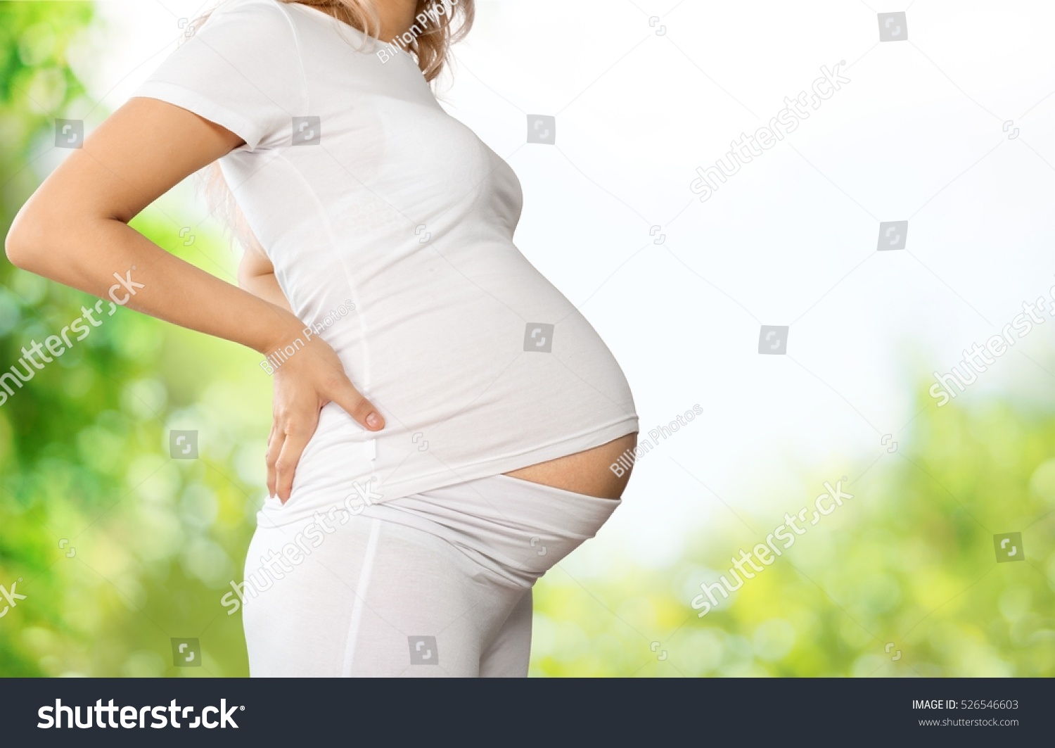 Human Pregnancy. Stock Photo 526546603 : Shutterstock