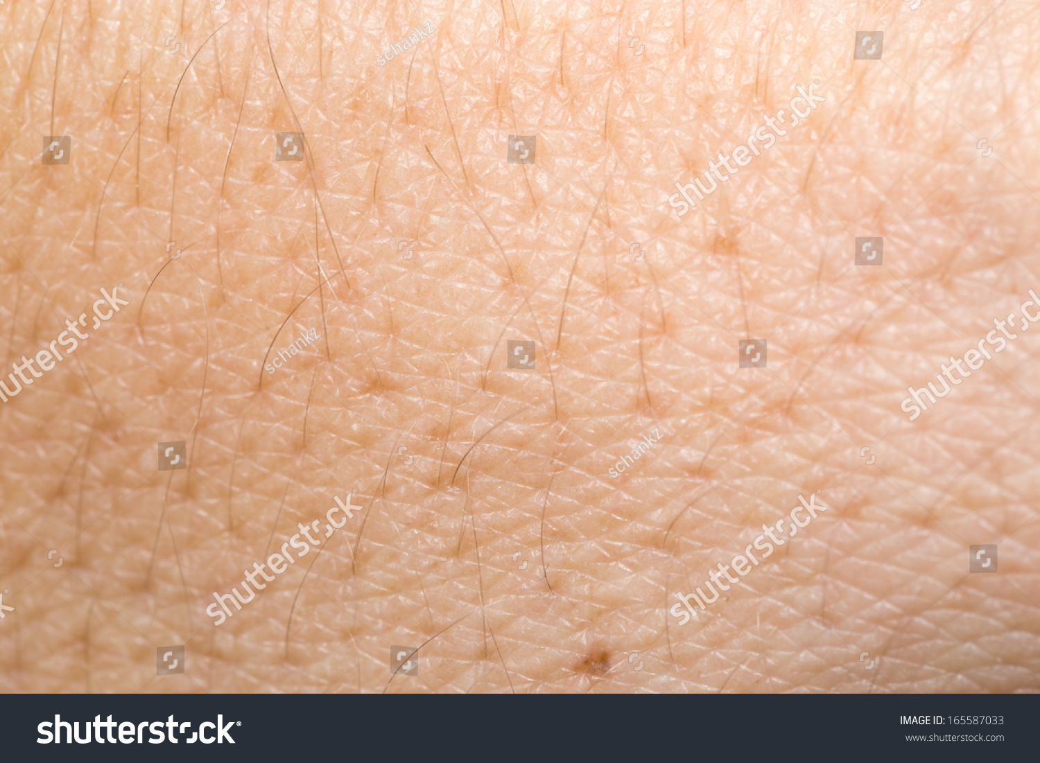 human skin macro stock photos image 14341663 human skin background macro stock photo 165587033 human skin macro stock photos image 14341663 human skin background macro stock photo 165587033