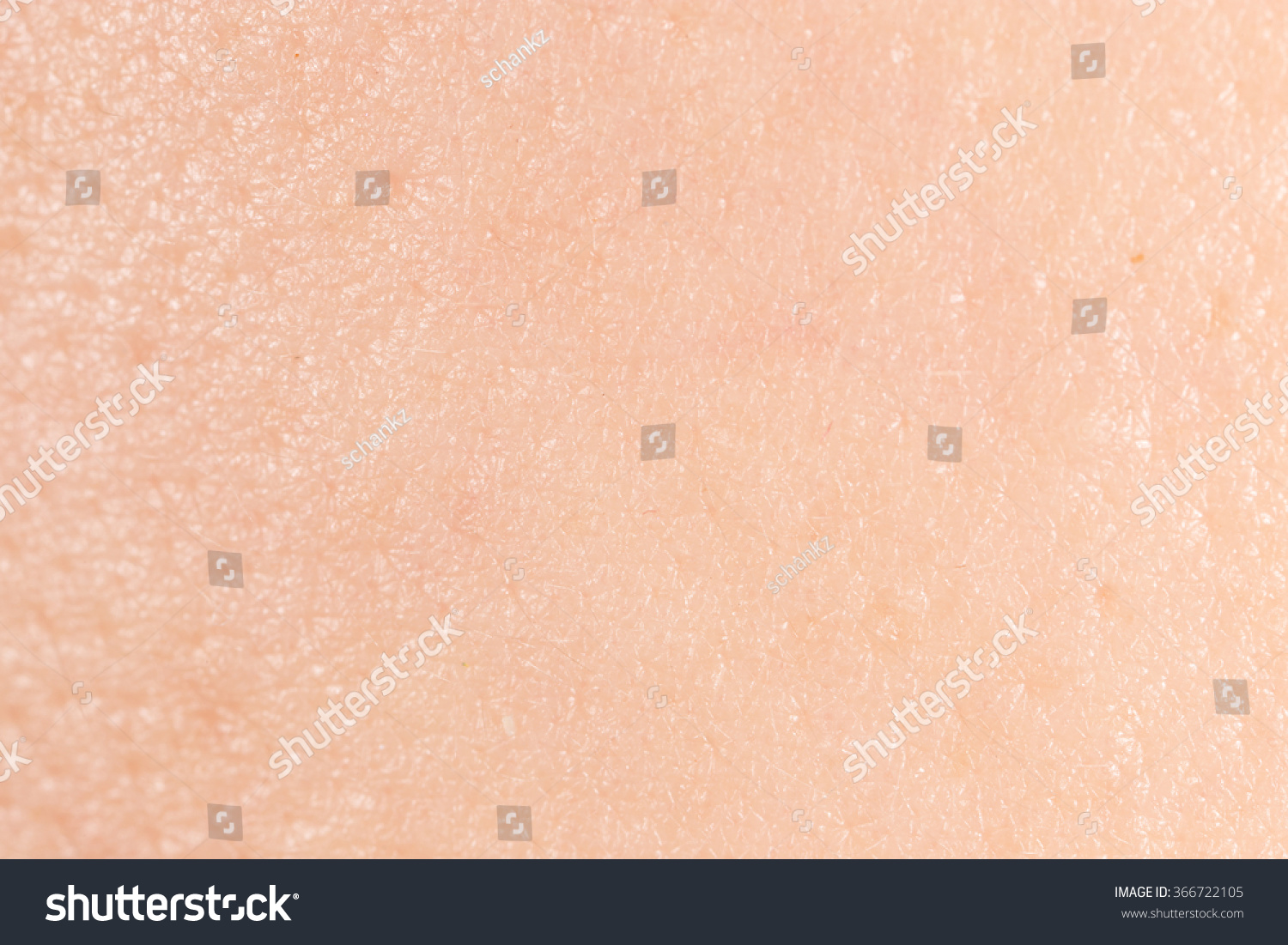 background human skin macro stock photo 172610195 human skin background macro stock photo 366722105 background human skin macro stock photo 172610195 human skin background macro stock photo 366722105