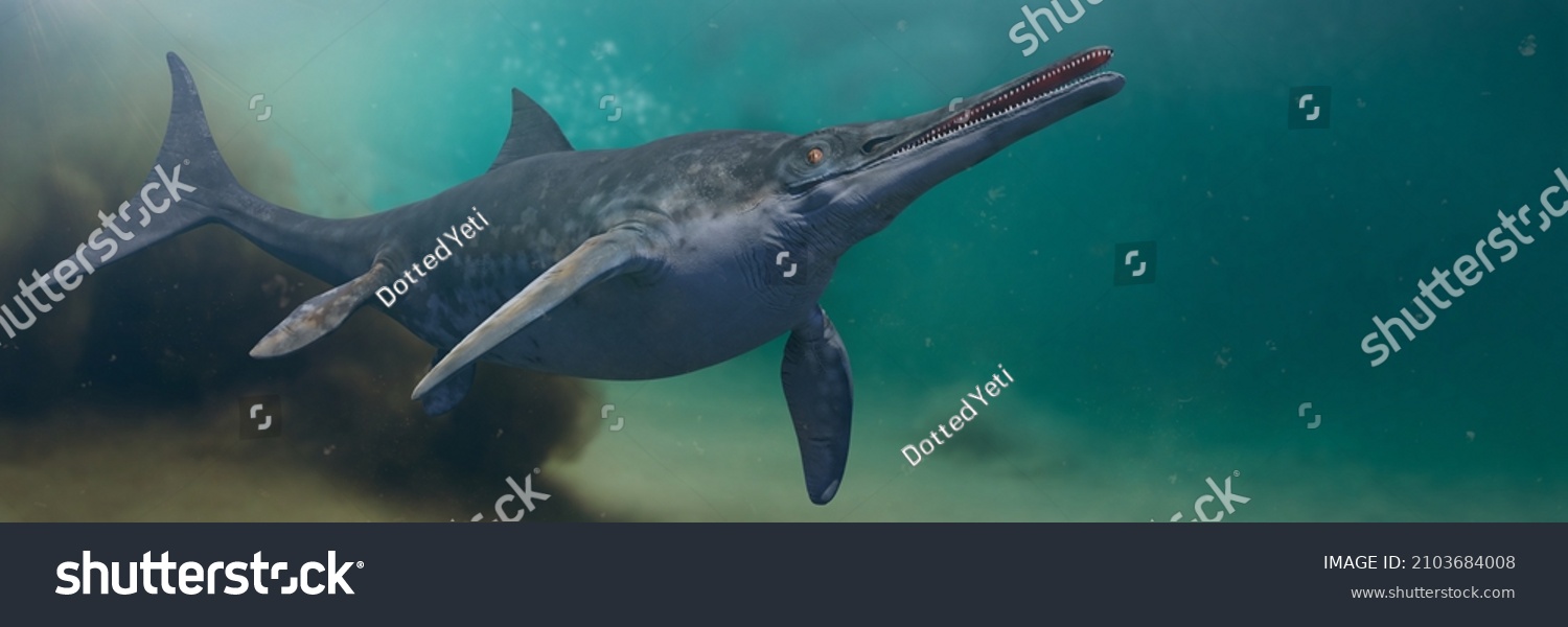 Ichthyosaur Stenopterygius Quadriscissus Swimming Ocean Extinct Stock