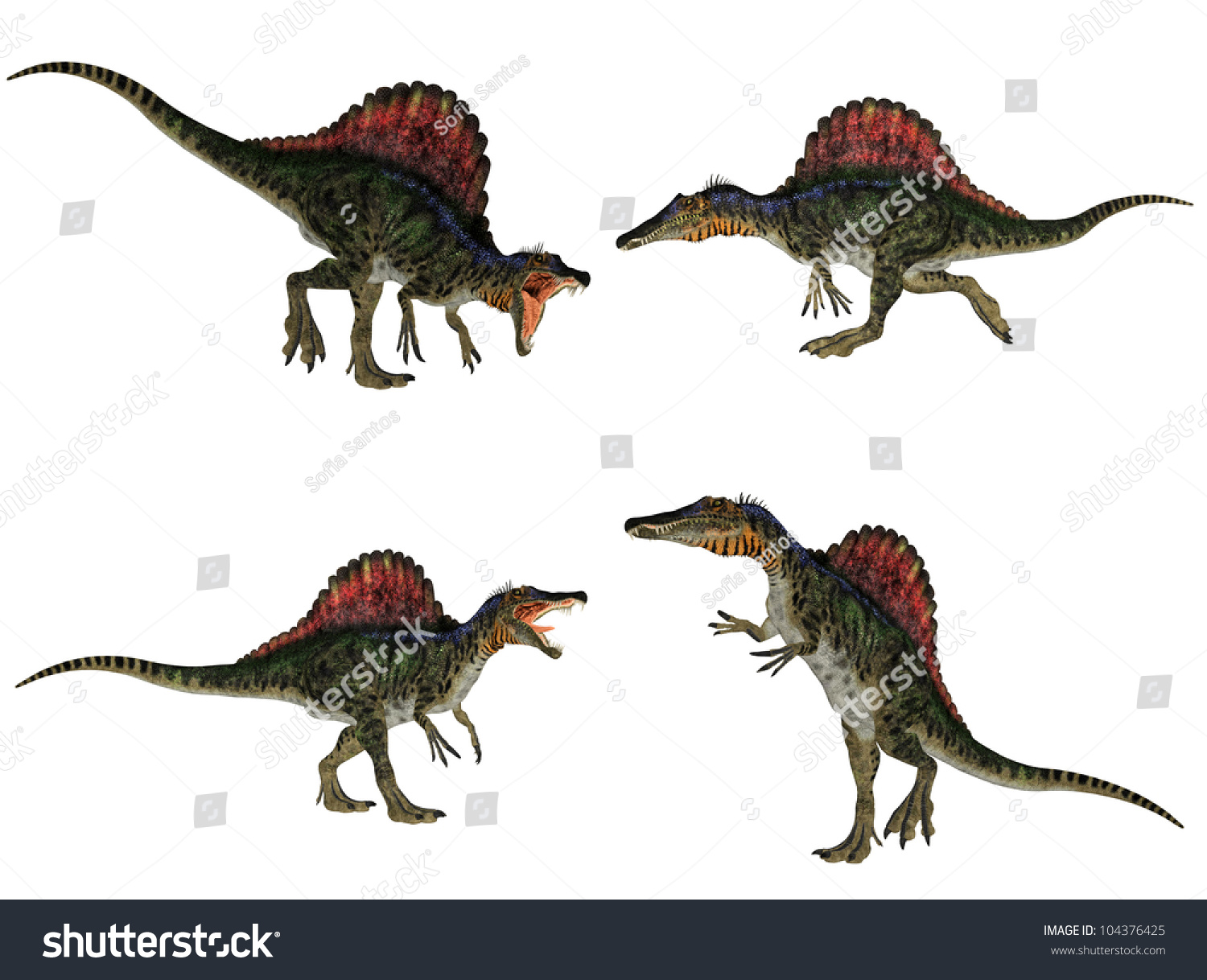 spinosaurus types