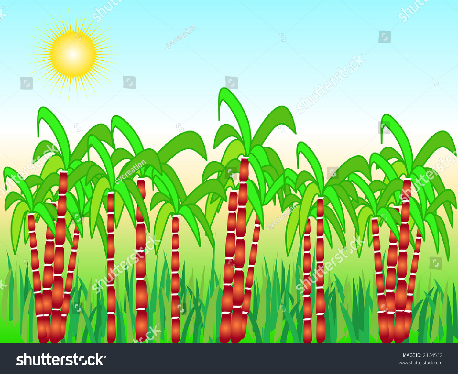 Illustration Of Sugarcane Harvest 2464532 Shutterstock 