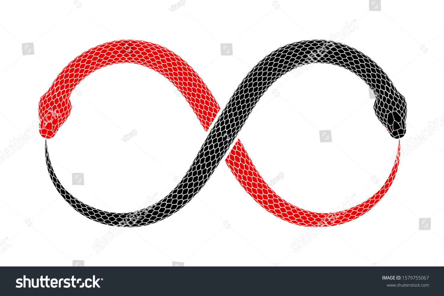 Illustration Two Snakes Intertwined Shape Ouroboros Stockillustration