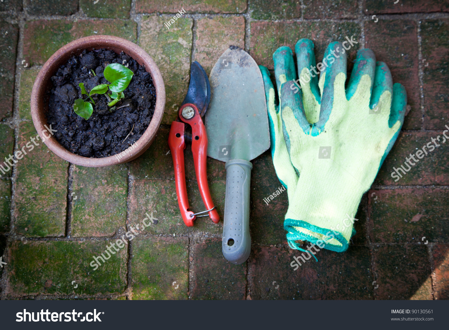 Image Of Gardening Hobby Stock Photo 90130561 : Shutterstock