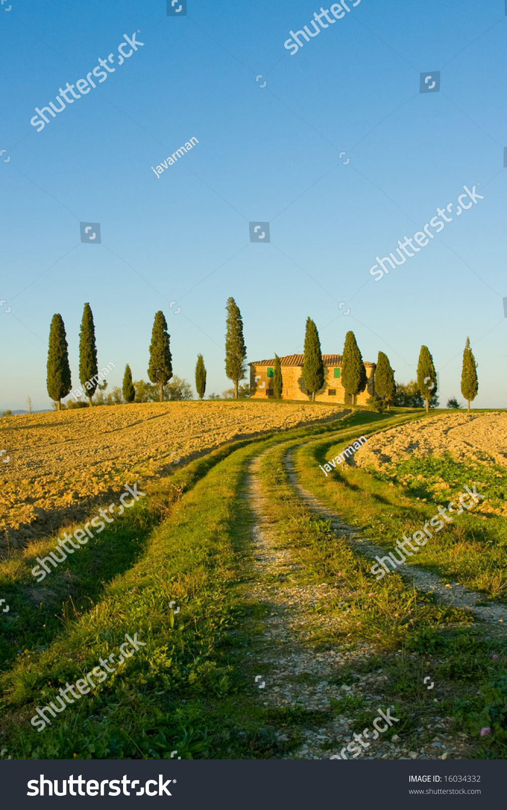 Image Of Typical Tuscan Landscape Stock Photo 16034332 ...