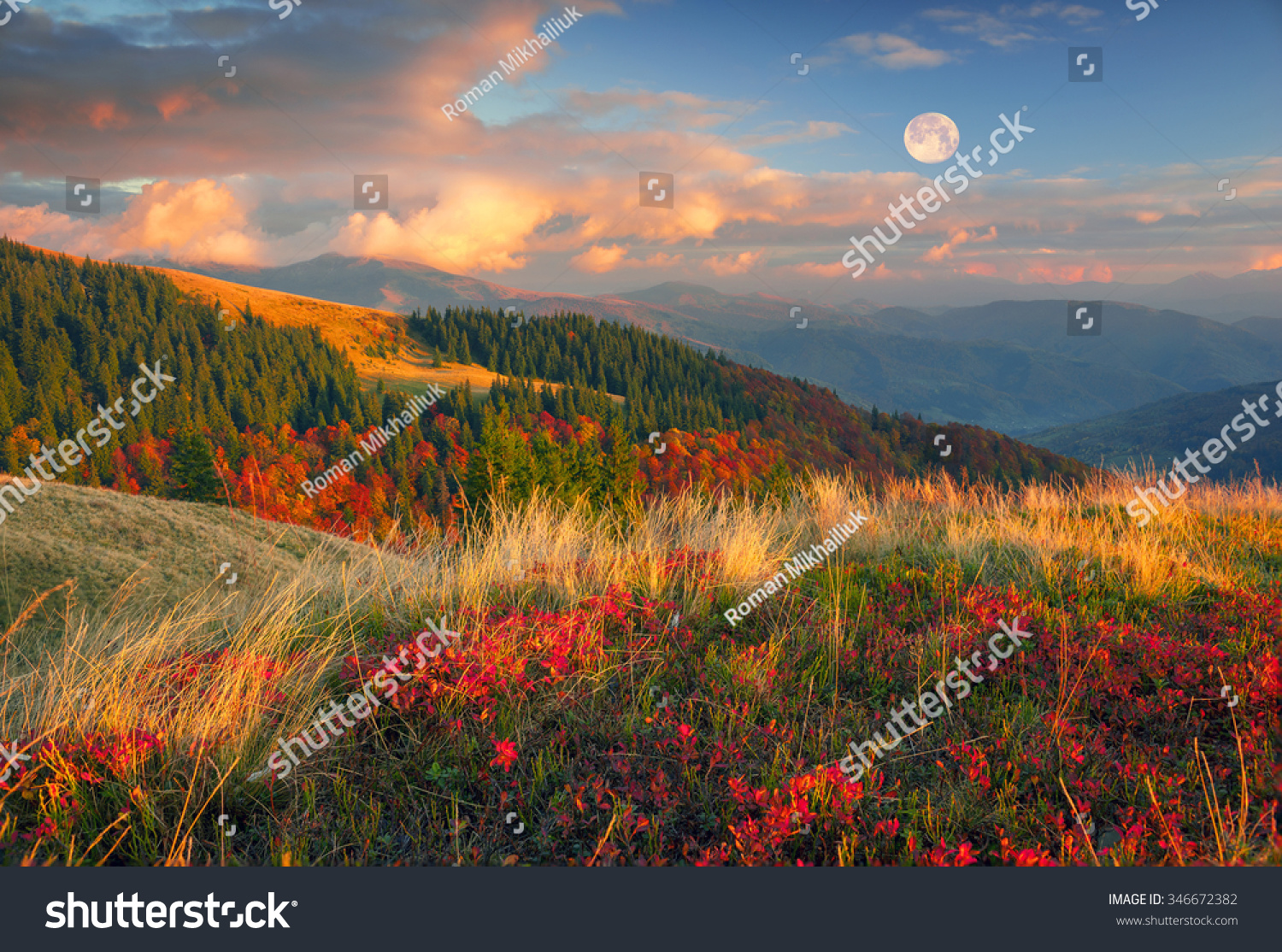 In the Carpathians golden autumn cold often turns into snow and then again come warm sunny days Against the background of high mountain ranges and beautiful beech forests scenic In the Carpathians golden autumn cold often turns into snow and then again come warm sunny days Against the background of high mountain ranges and beautiful beech forests scenic