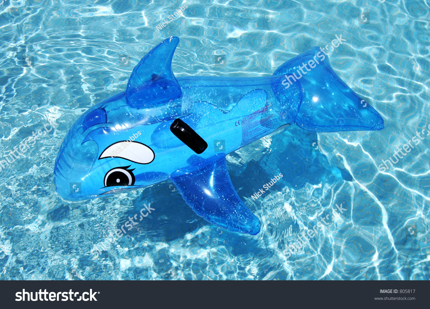 dolphin water toy