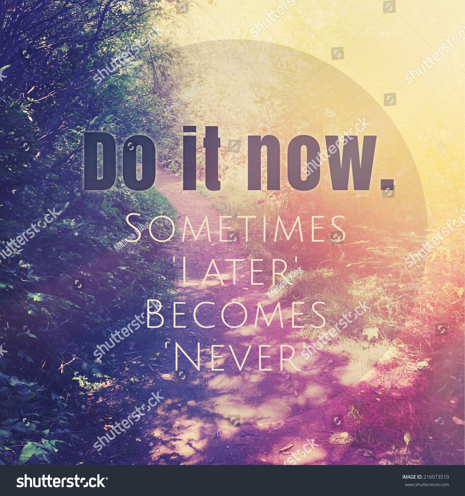 inspirational-typographic-quote-do-it-now-sometimes-later-becomes