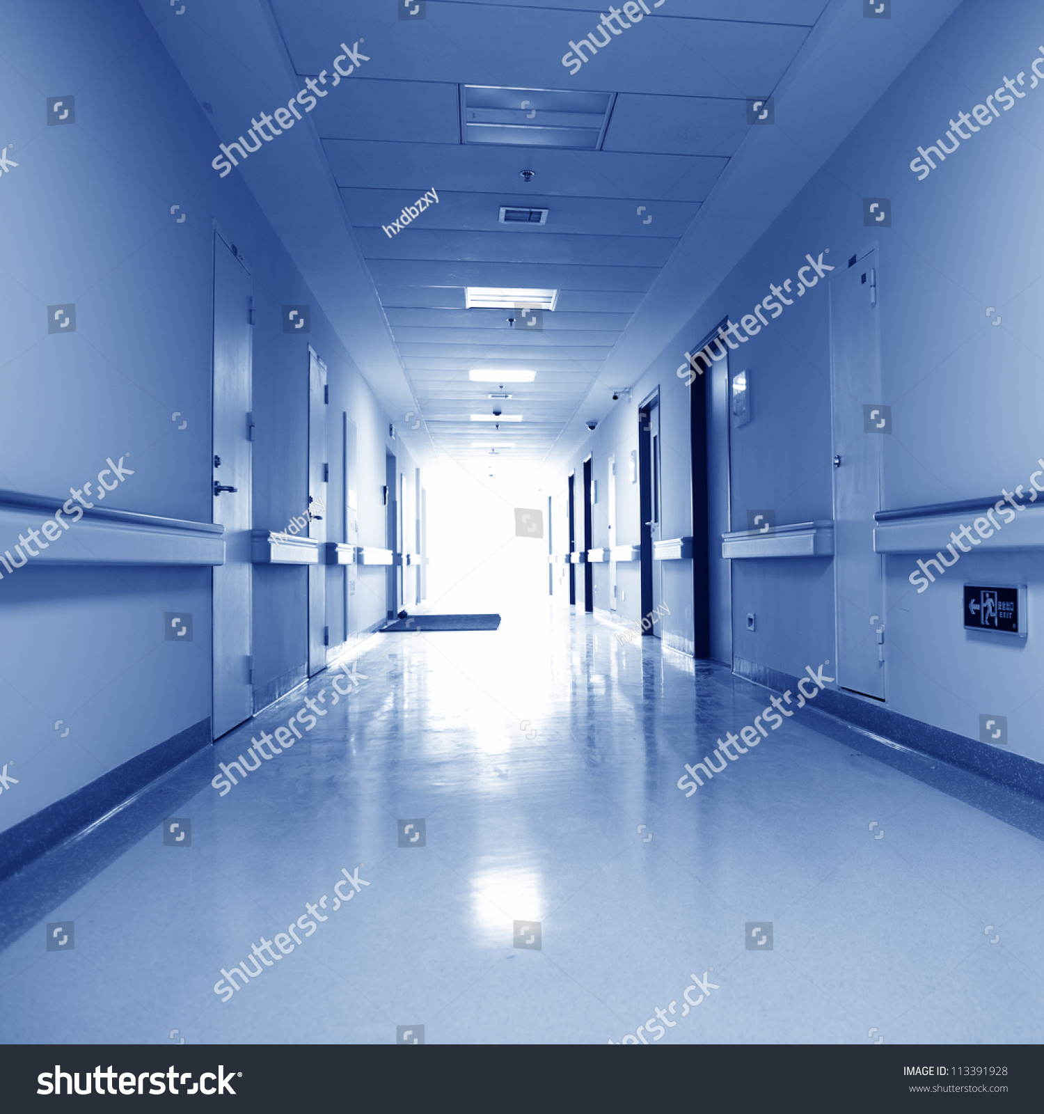 Interior Hospital Research Lab Stock Photo 113391928 - Shutterstock