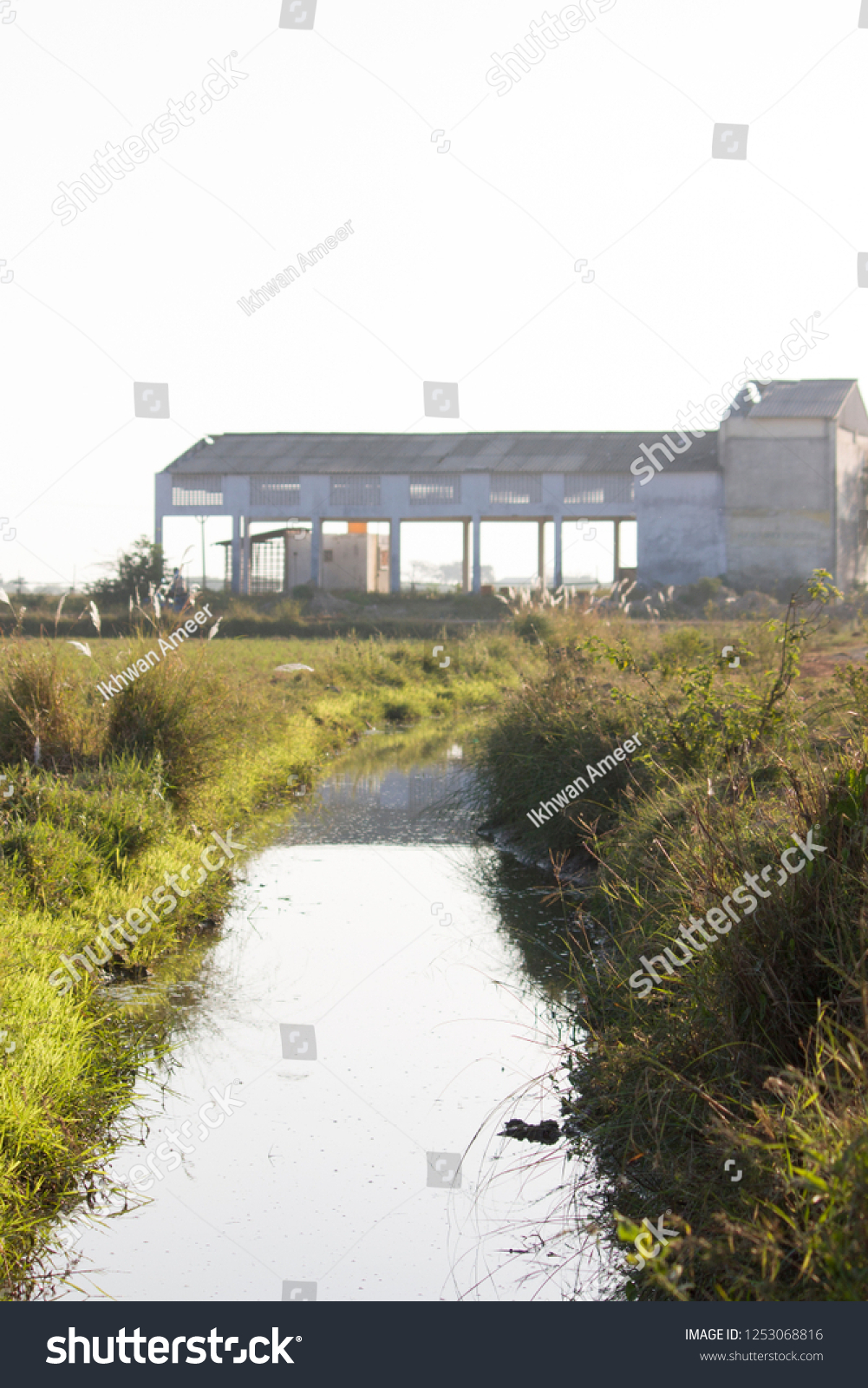 Irrigation Water Channel Through Rice Paddy Foto De Stock 1253068816