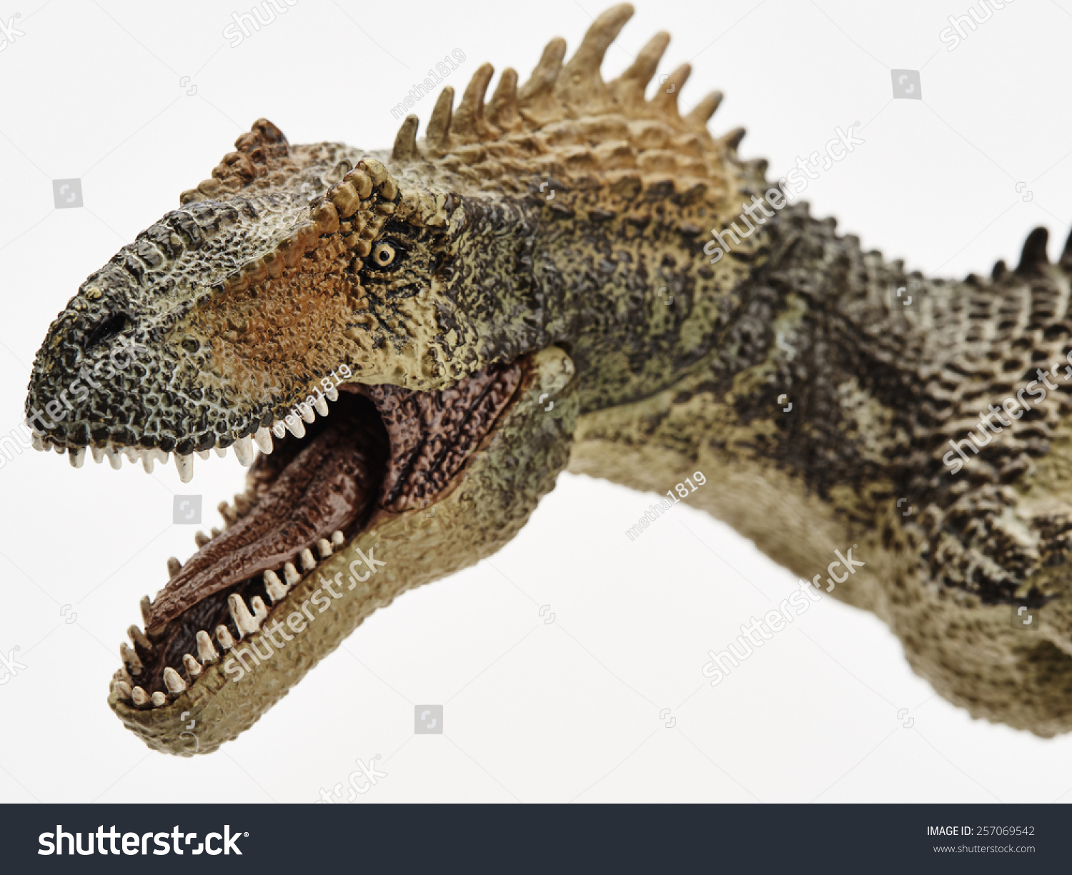 Isolated Dinosaur In White Background Stock Photo 257069542 : Shutterstock