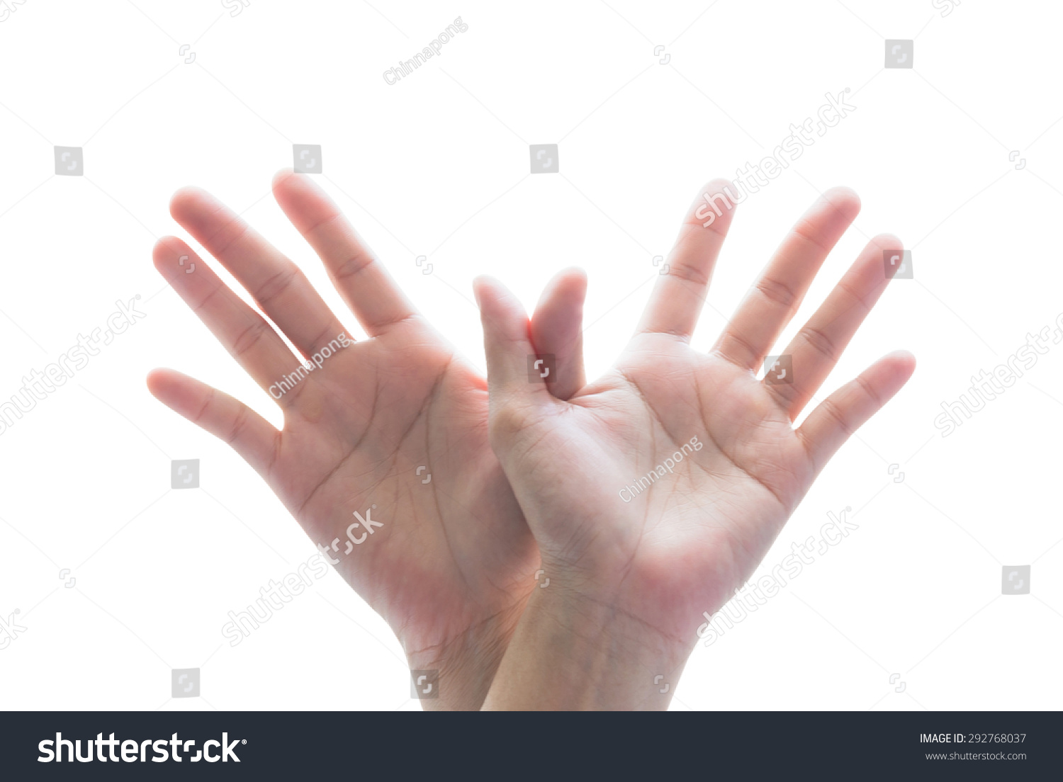 isolated-female-human-hands-in-form-of-soaring-bird-flying-high-on-white-background-universal