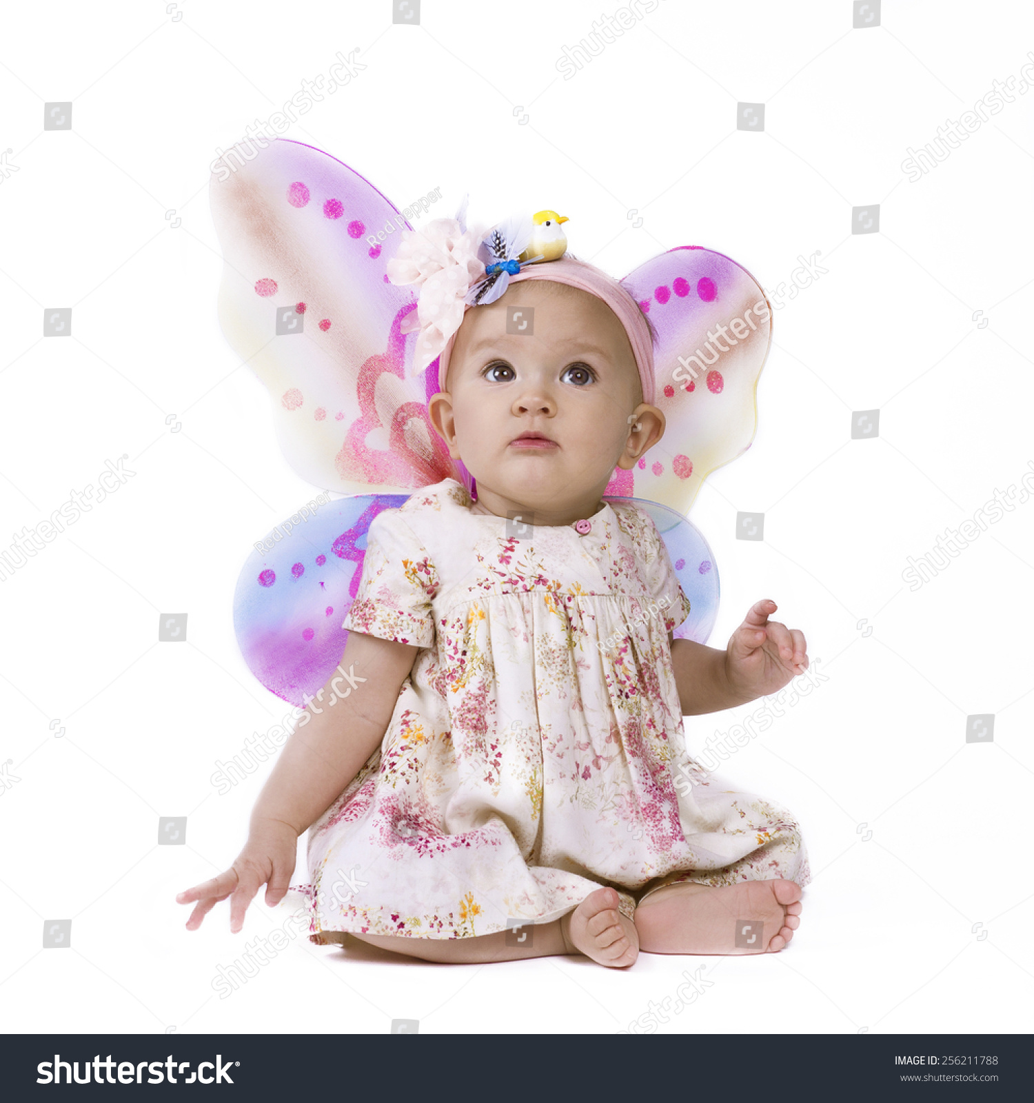 Isolated of a cute baby girl with butterfly wings looking up Isolated of a cute baby girl with butterfly wings looking up