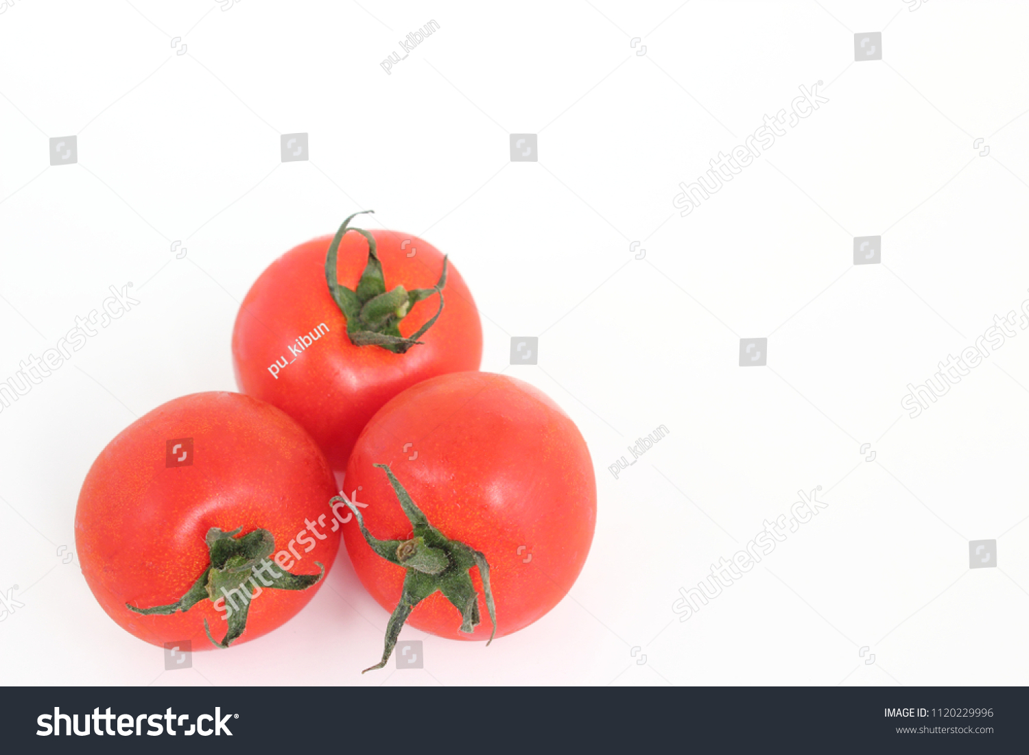 Ym D Petit Tomato Nude Photo 4172 Hot Sex Picture