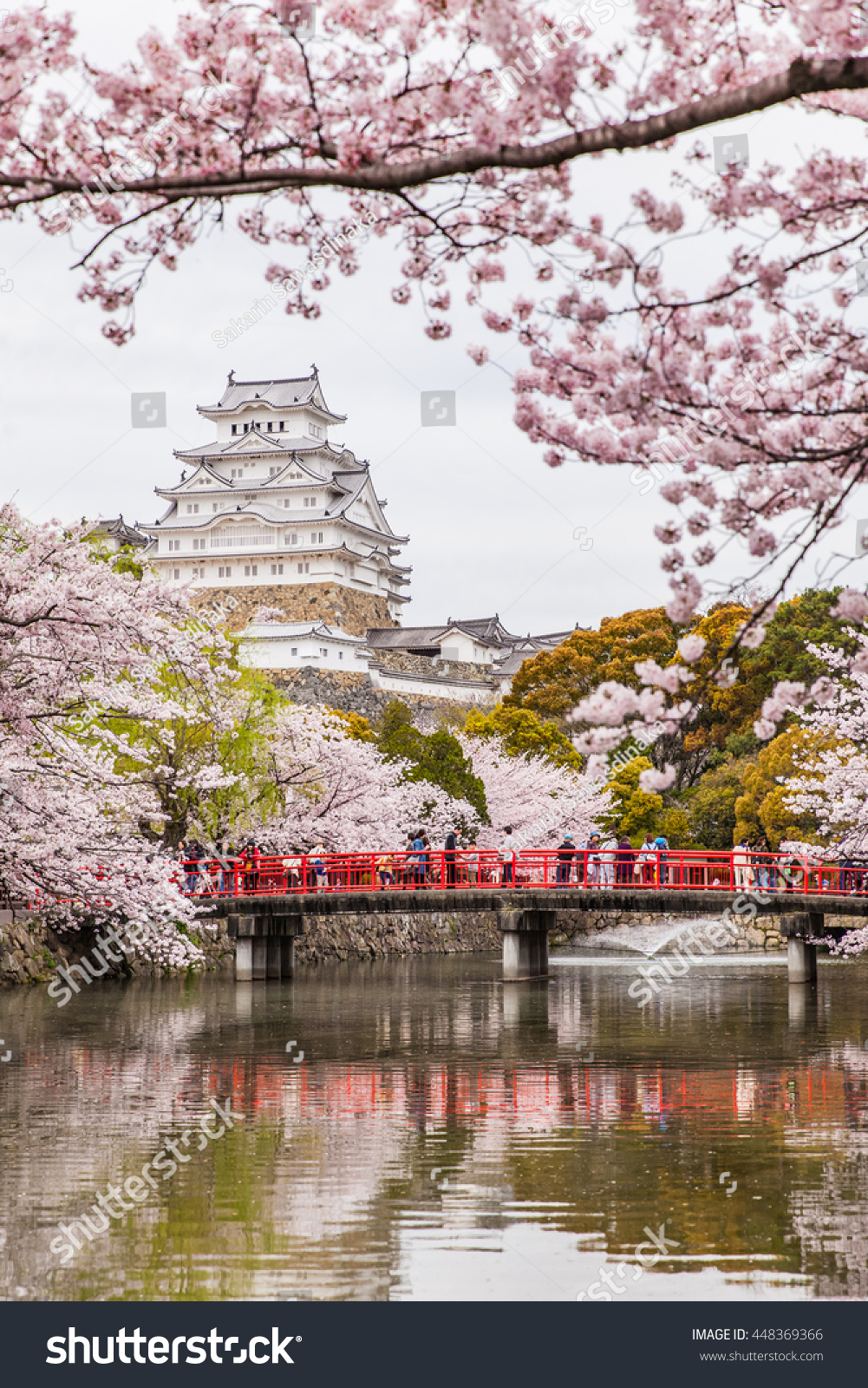 Japan Himeji castle White Heron Castle in beautiful sakura cherry blossom season Japan Himeji castle White Heron Castle in beautiful sakura cherry blossom season