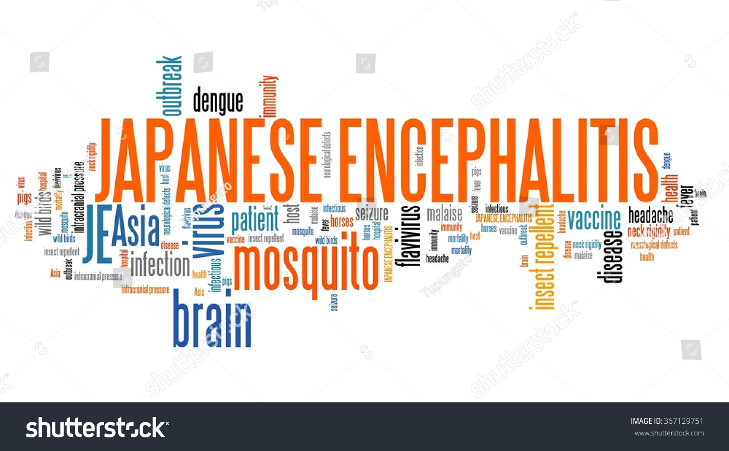 Japanese Encephalitis - Mosquito Borne Virus Disease. Word Cloud