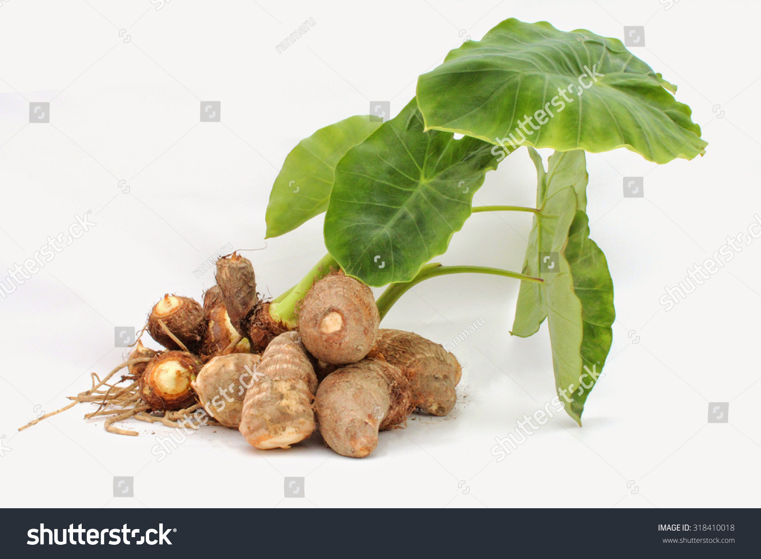 Japanese Yam Stock Photo 318410018 Shutterstock