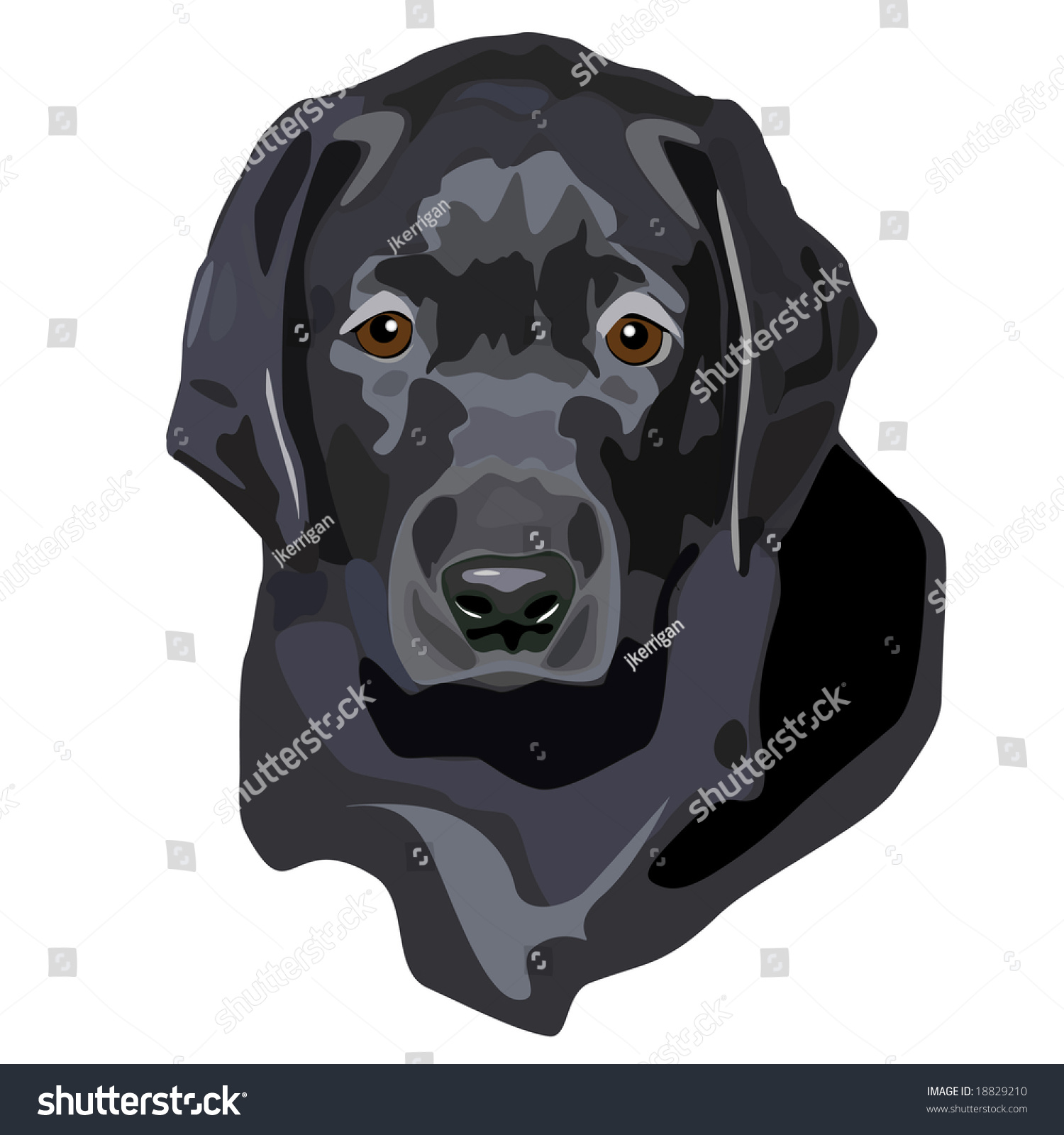 Jpeg Illustration Black Lab Puppy Portrait Stock Illustration 18829210